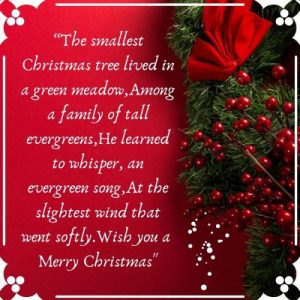 Merry 2BChristmas 2Bquotes merry Christmas wishes