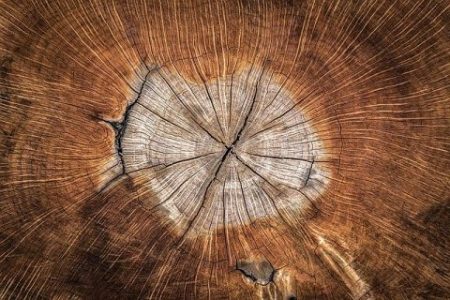 circle backgound wood